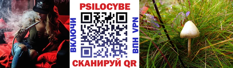 Галлюциногенные грибы мицелий где продают наркотики Рославль